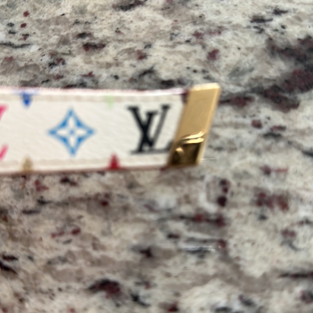Louis Vuitton Vintage multi-color belt - Picture 2 of 7